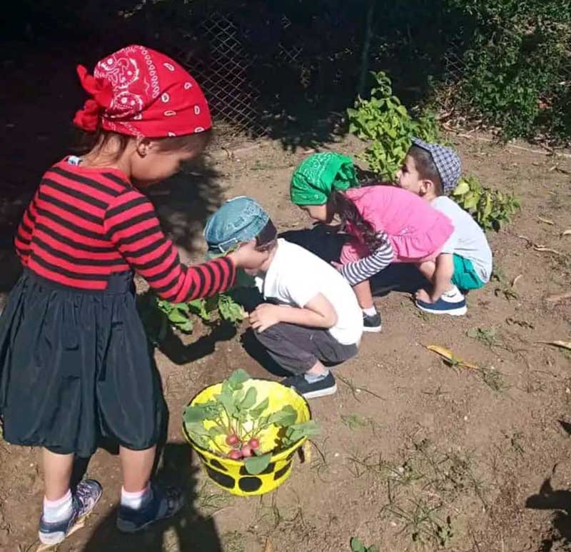 círculos infantiles aniversario 63q