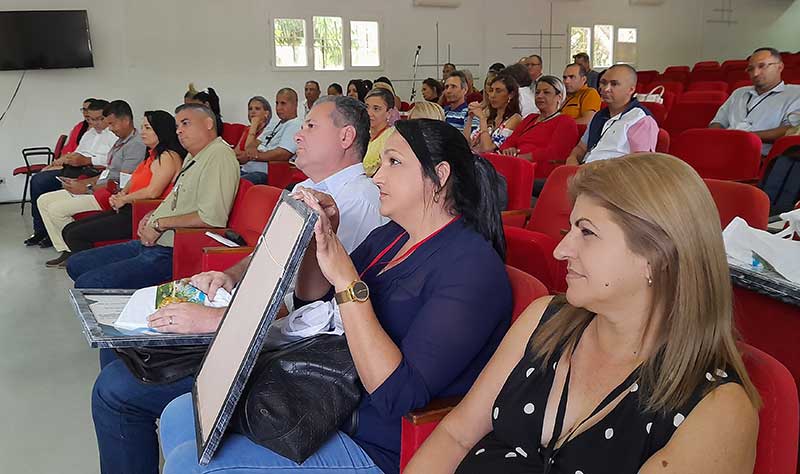 economía. planificación balance 5