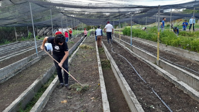 trabajo voluntario trabajadores 02
