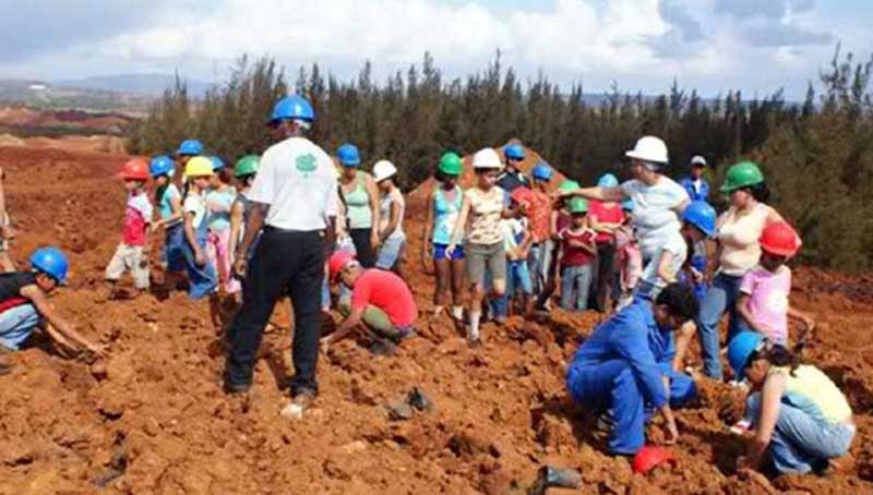 logros ambientales ecoarte