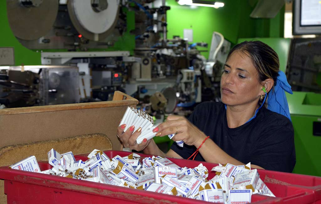 trabajador tabacalero.1