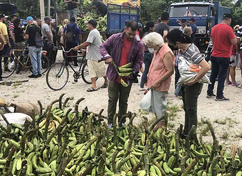 feria agropecuaria 1