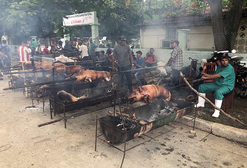 feria agropecuaria 3