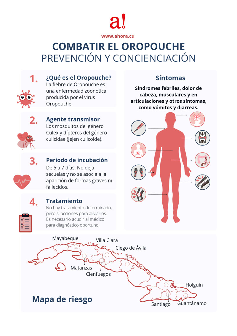 infografía oropouche