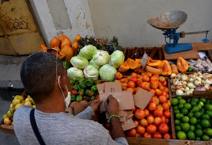 inspectores alimentos