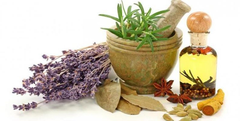 medicina natural 02