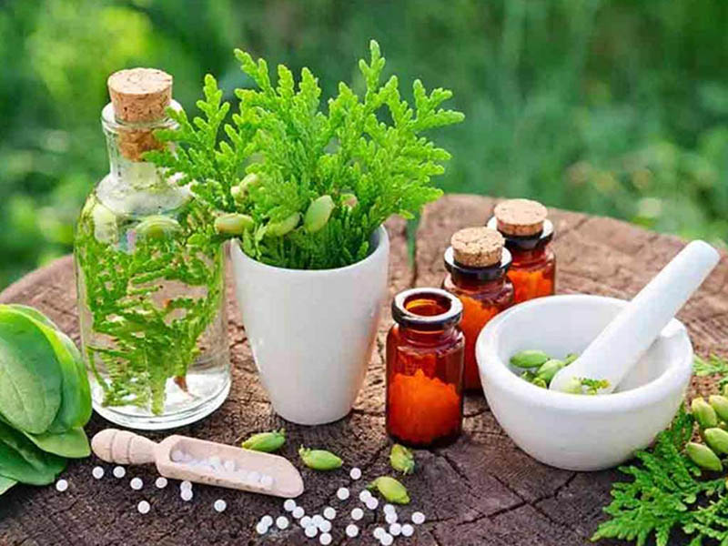 medicina natural 03