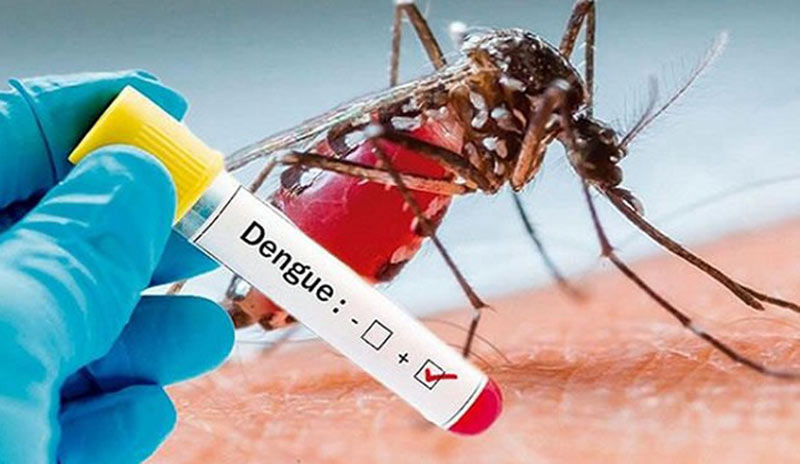 prevencion dengue