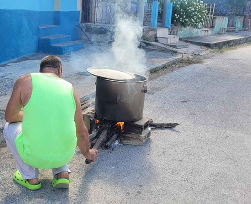 cederistas3