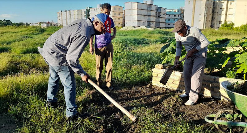 trabajoproductivoHOLG1