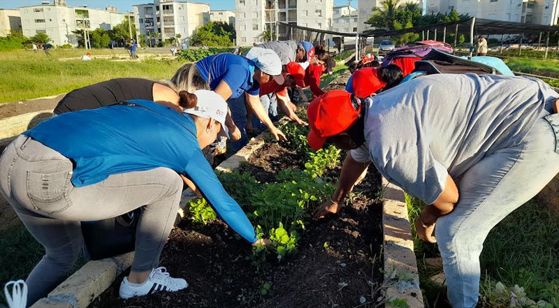 trabajoproductivoHOLG2