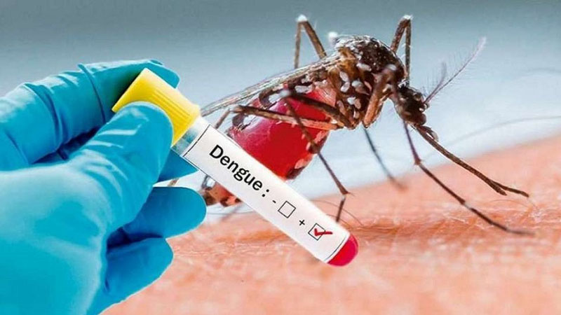 dengue 01