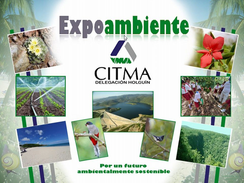 expoambiente