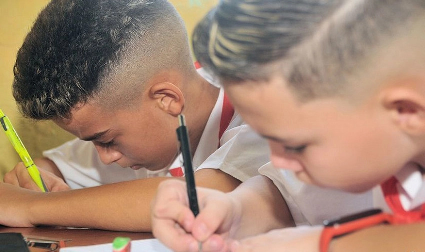 actividades docentes
