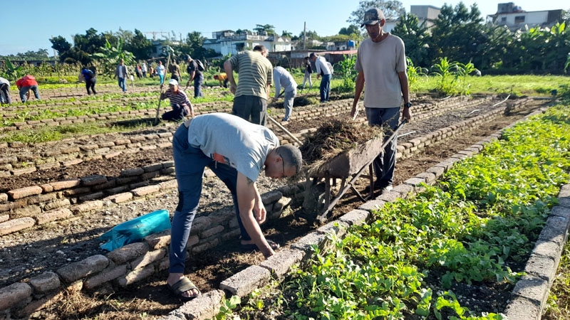 trabajo voluntario 01