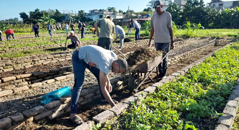 voluntario1