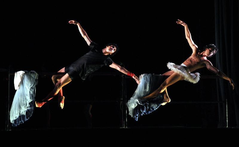 codanza 02