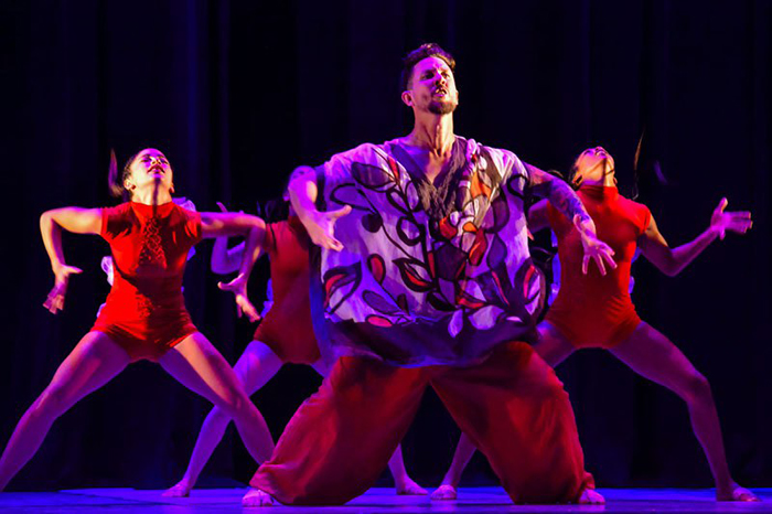 codanza