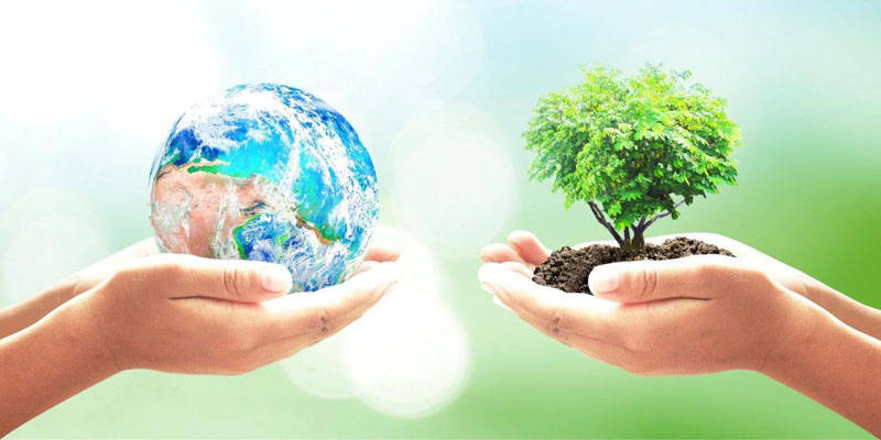 día medio ambiente