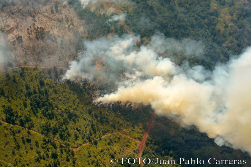 incendio mayari