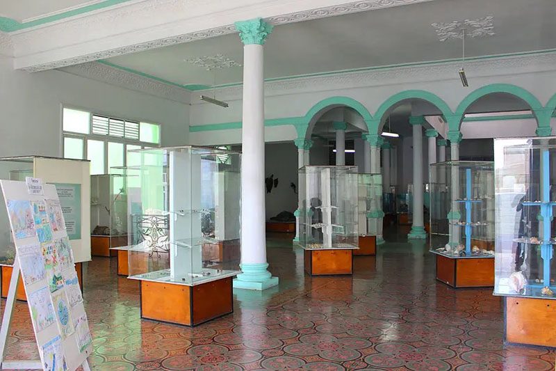 museo historia nat 01t