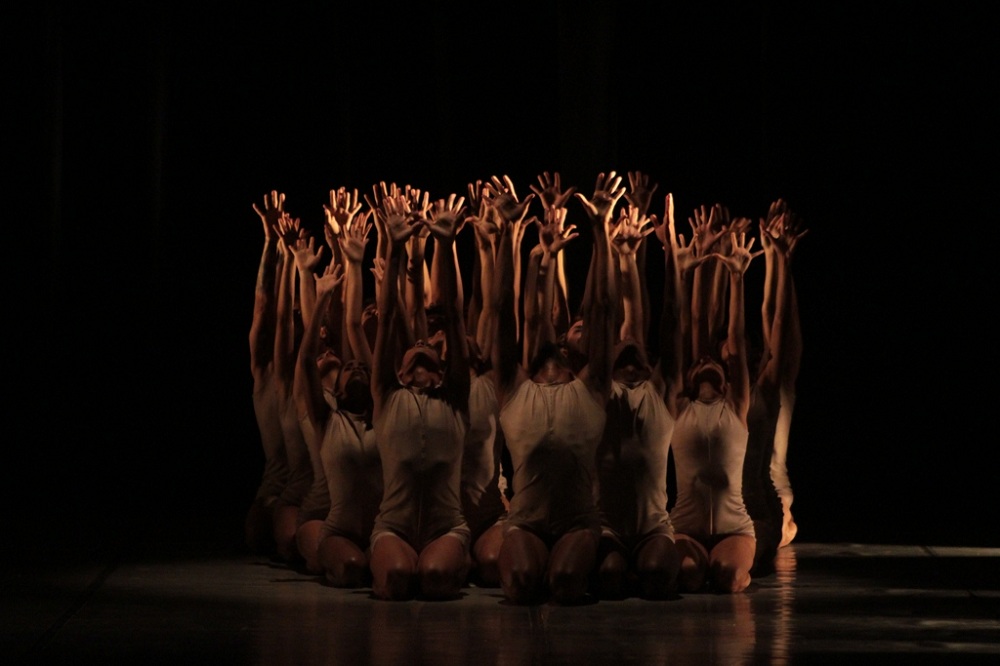 Codanza