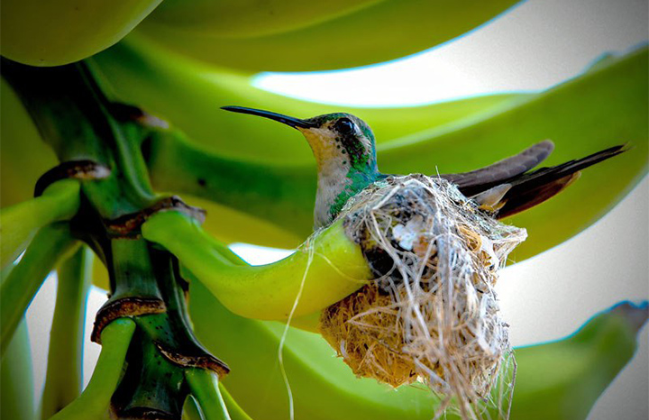 recursos naturales