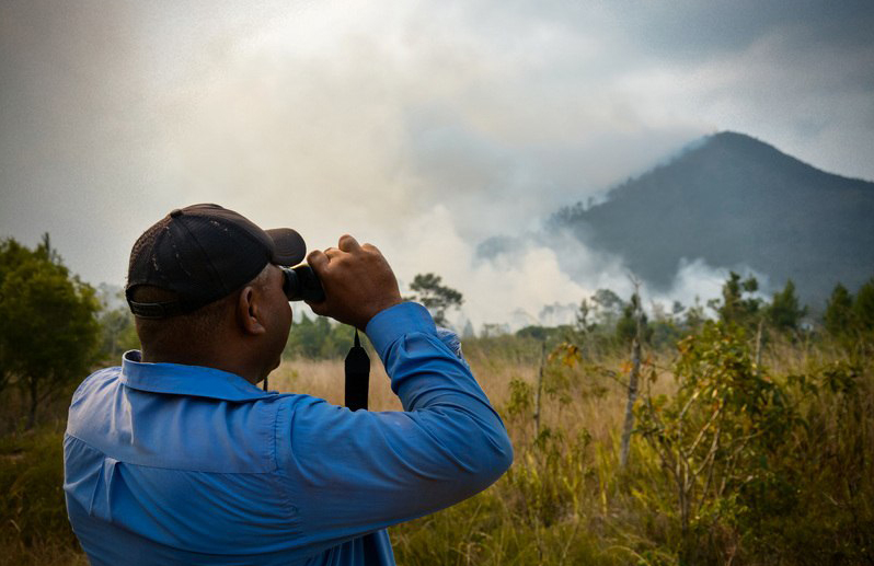 incendios forestales