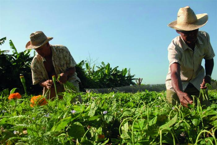 Agricultura