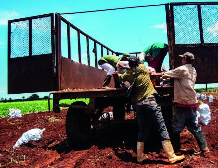 agricultura