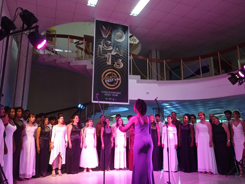 vocalis clausura 01