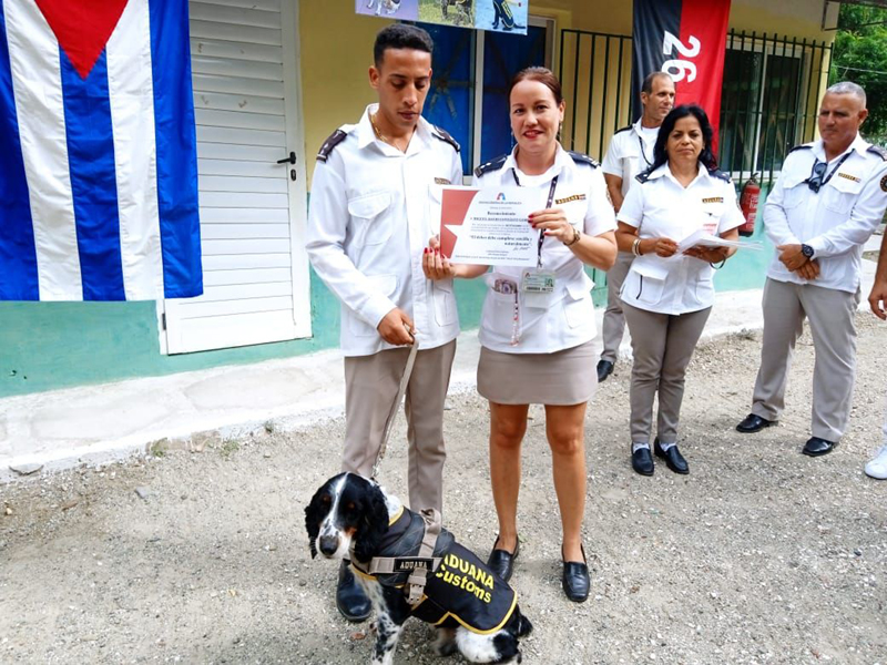 canina1