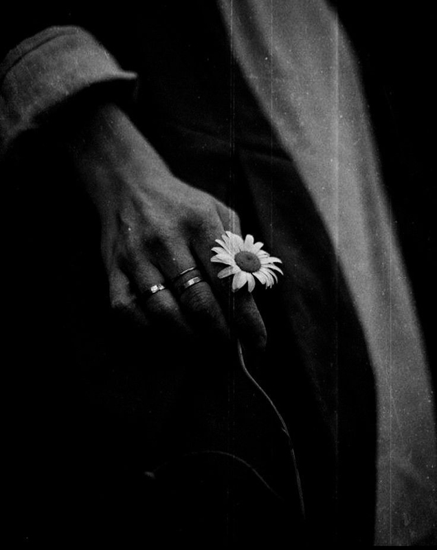 flores1