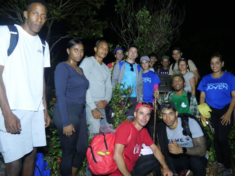 pico cristal 03