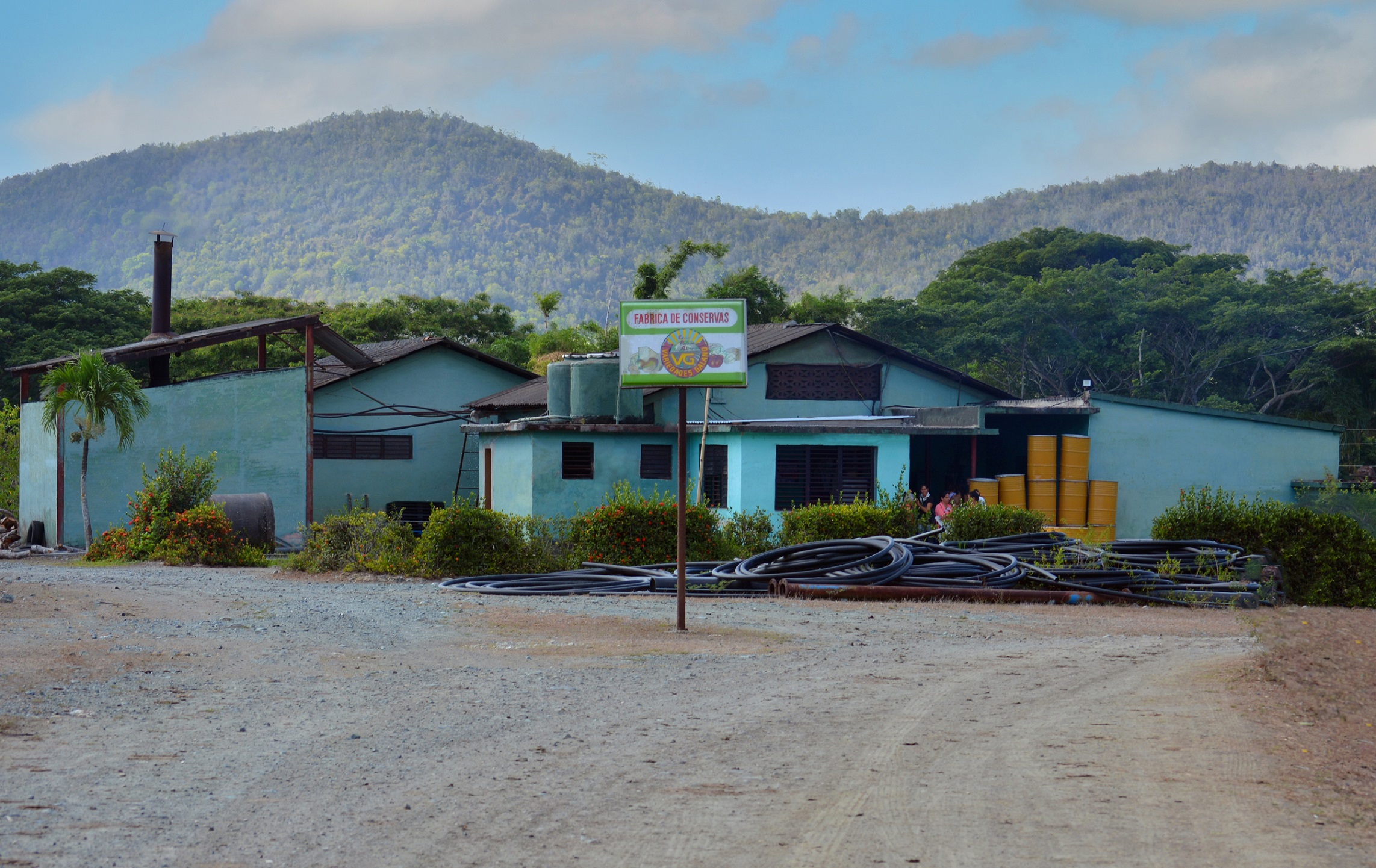 Minindustria Variedades Galano
