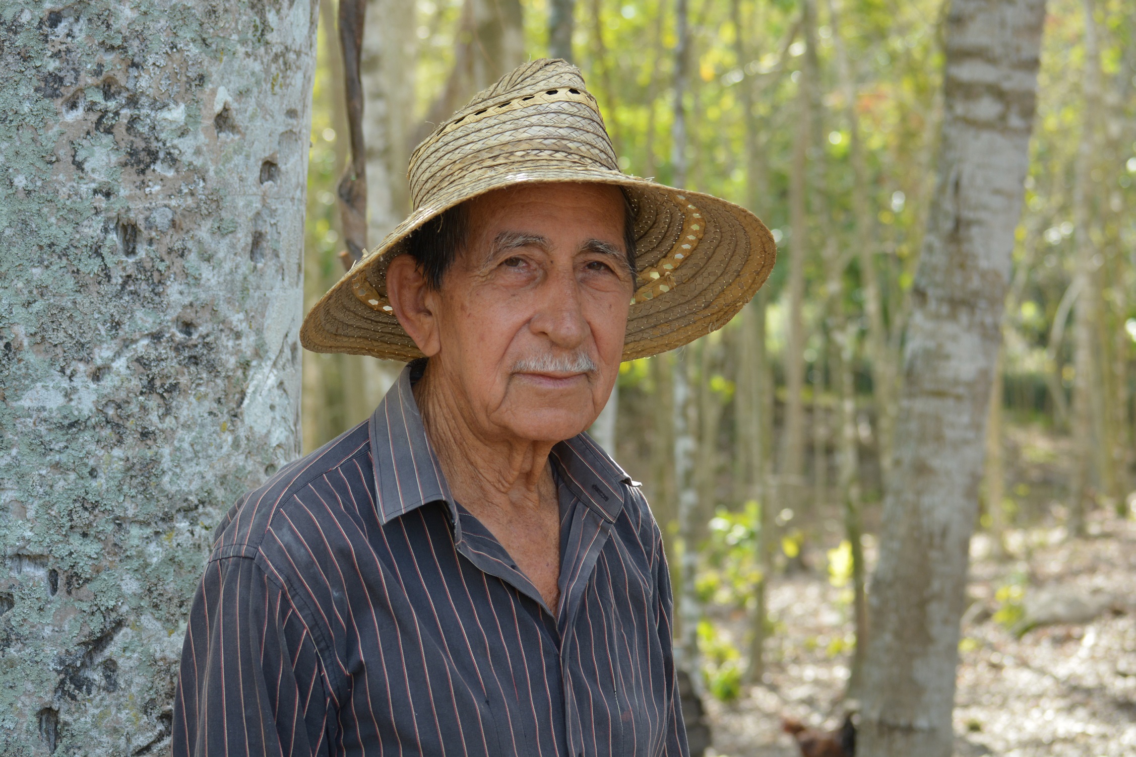 Beltrán Guerrero Batista
