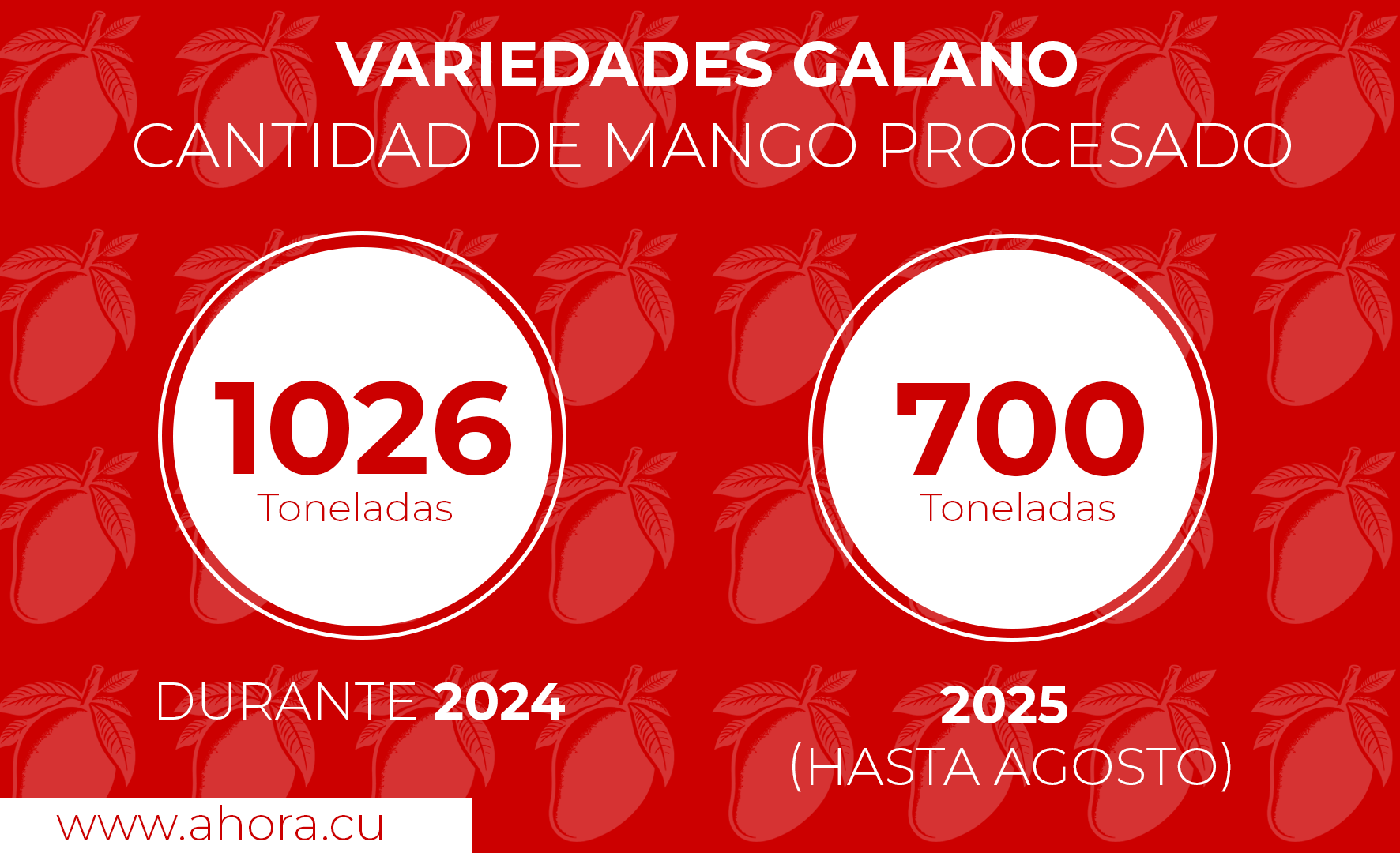 Infografía de procesos de producción