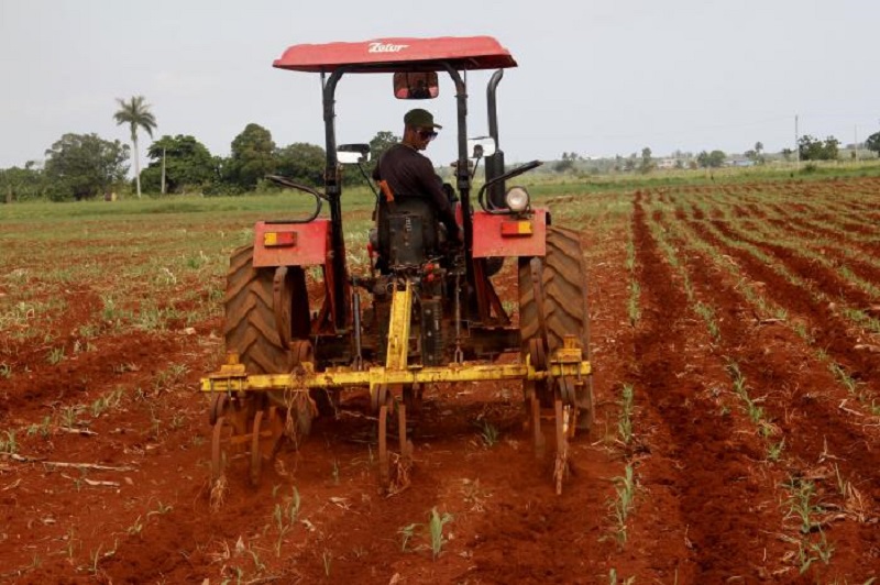 Agricultura