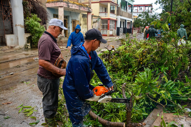 recuperación melissa 15
