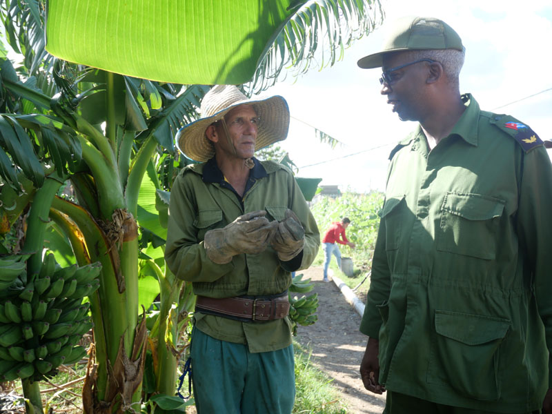 trabajao voluntario 03