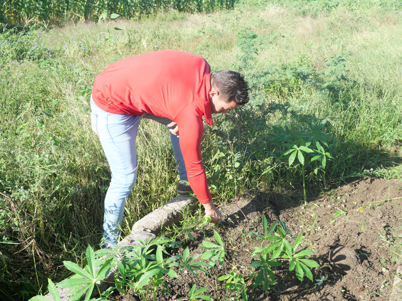 trabajao voluntario 04