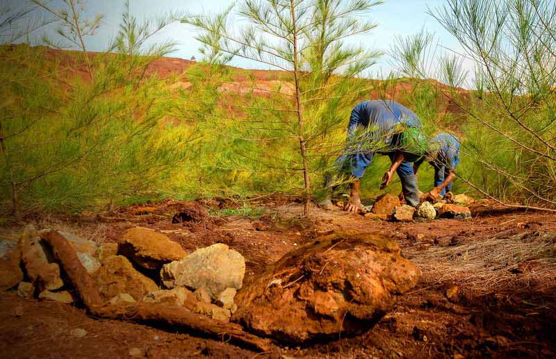 1224 holguin recupera areas de explotacion minera3