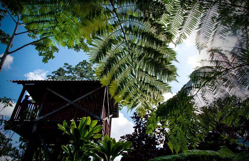 holguin areas protegidas4