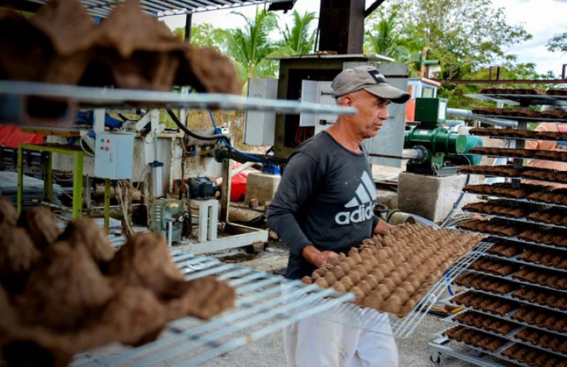 cooperacion holguin cartones huevoh3