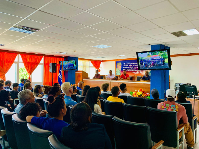 electricos jovenes 01