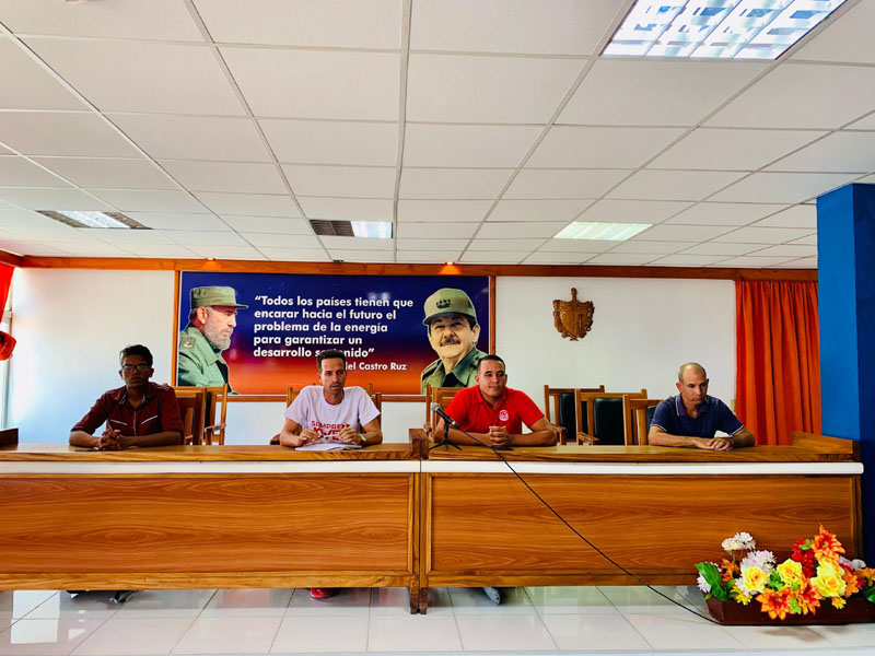 electricos jovenes 03