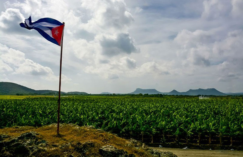 2505 desarrollo agricola