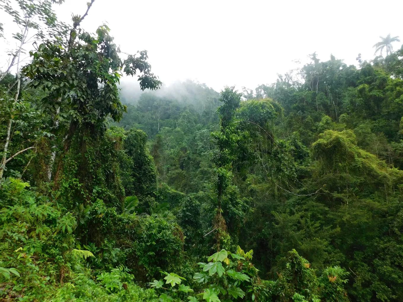 Parque Humboldt