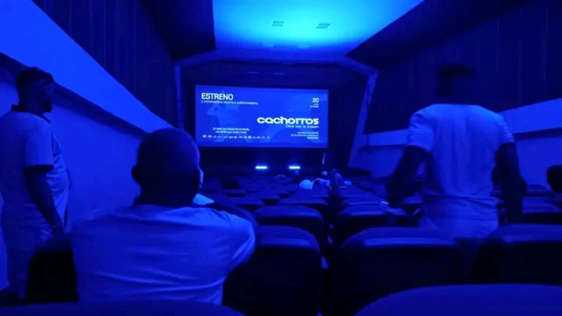 documental cachorros 03