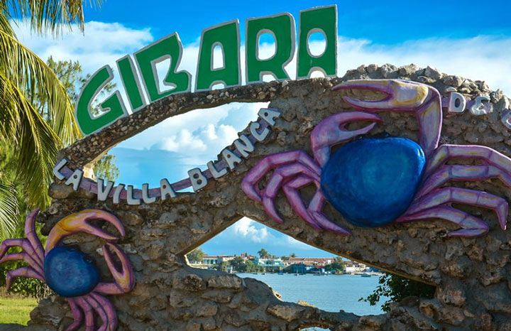 hol gibara3